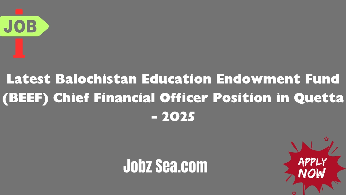 Latest Balochistan Education Endowment Fund (BEEF) Chief Financial Officer Position in Quetta - 2025